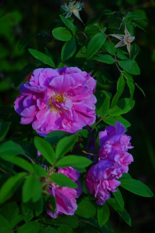 Will be adding more soon!